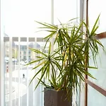 Exklusive Stadtoase Design-wohnung - Panoramablick Appartement *