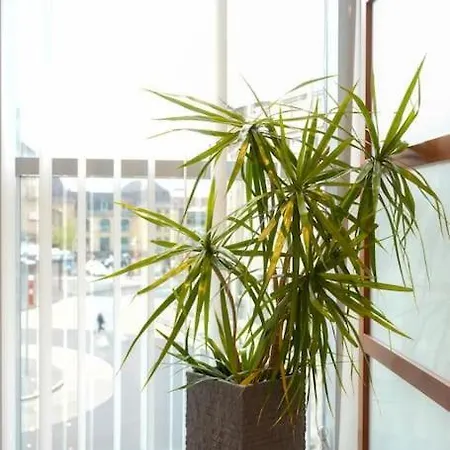 Exklusive Stadtoase Design-wohnung - Panoramablick Apartment *