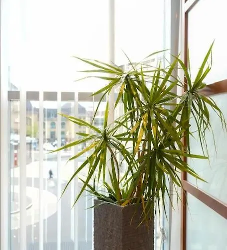 Exklusive Stadtoase Design-wohnung - Panoramablick Daire *